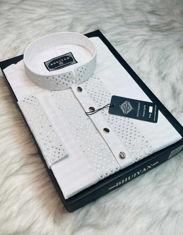 Premium Quality Sequence Panjabi