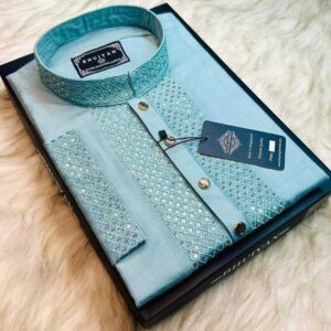 Premium Quality Sequence Panjabi