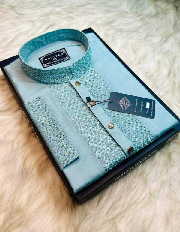 Premium Quality Sequence Panjabi