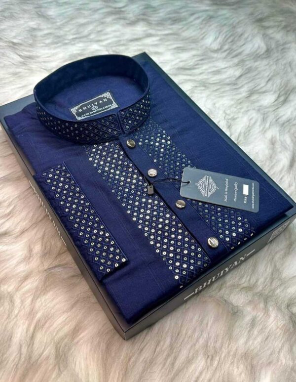 Premium Quality Sequence Panjabi